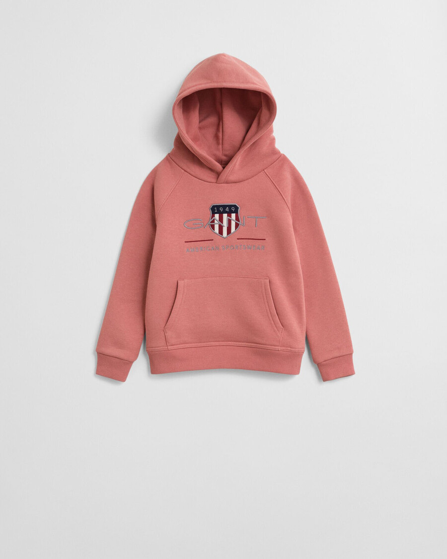 moletom kids archive shield - tijolo desbotado