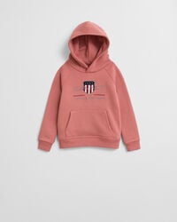 moletom kids archive shield - tijolo desbotado