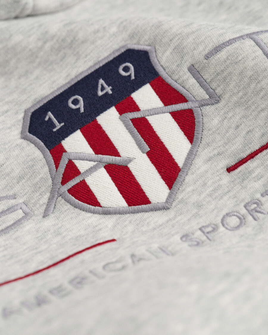 moletom com capuz teens archive shield - cinza mescla claro