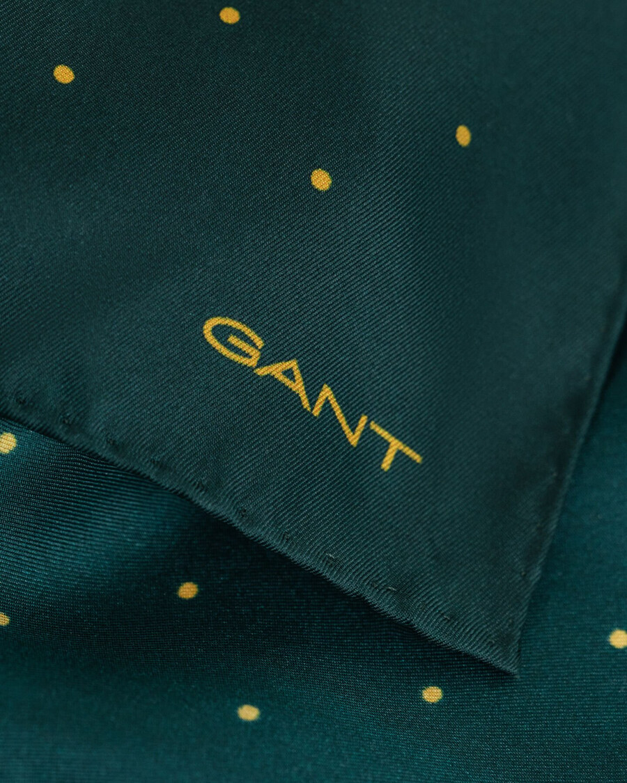 lenço de bolso com estampa de bolinhas - verde xadrez