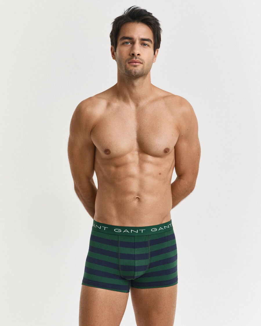conjunto com 3 cuecas listradas - verde floresta
