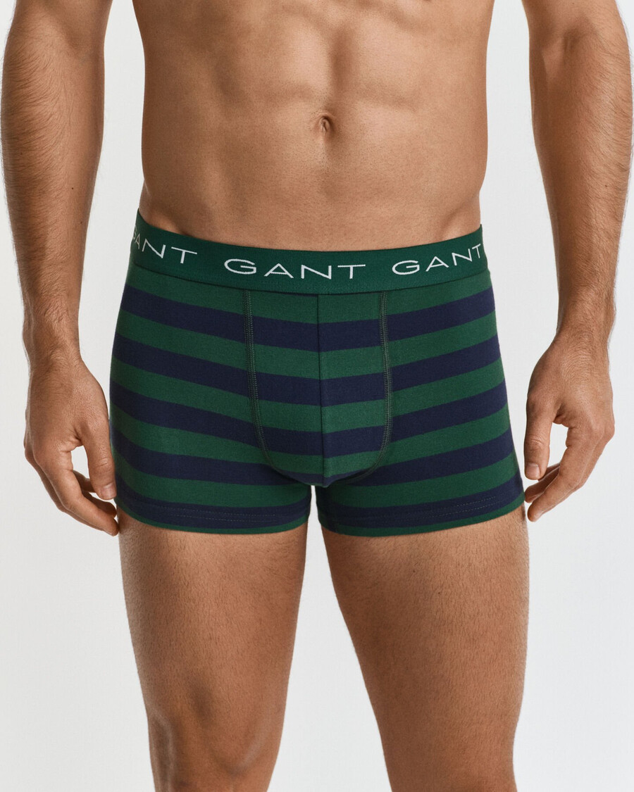 conjunto com 3 cuecas listradas - verde floresta